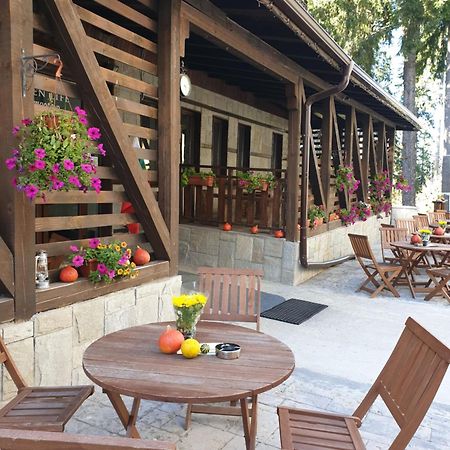 Green Life Family Apartments Pamporovo Extérieur photo