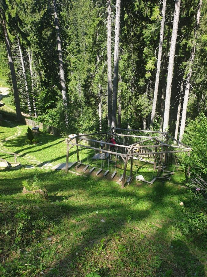 Green Life Family Apartments Pamporovo Extérieur photo
