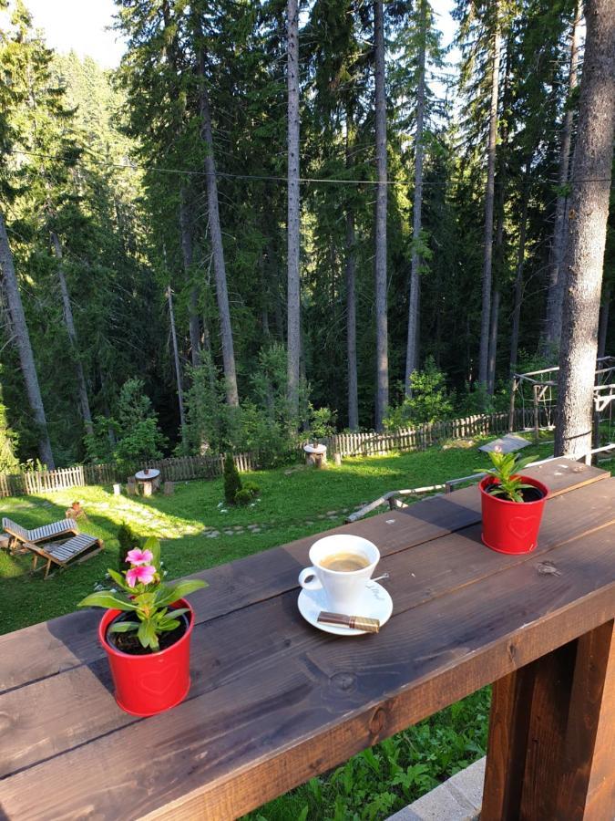 Green Life Family Apartments Pamporovo Extérieur photo