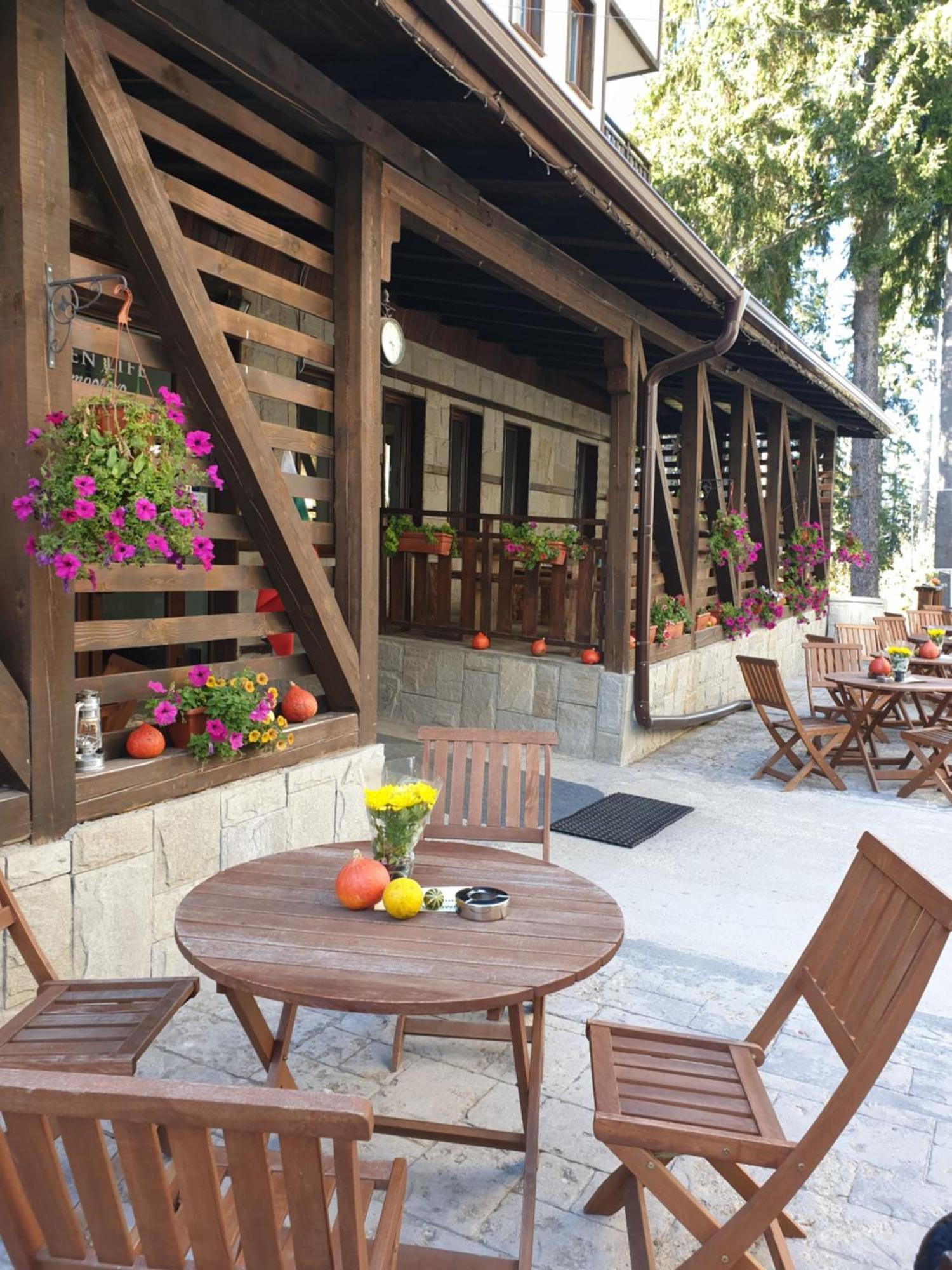 Green Life Family Apartments Pamporovo Extérieur photo